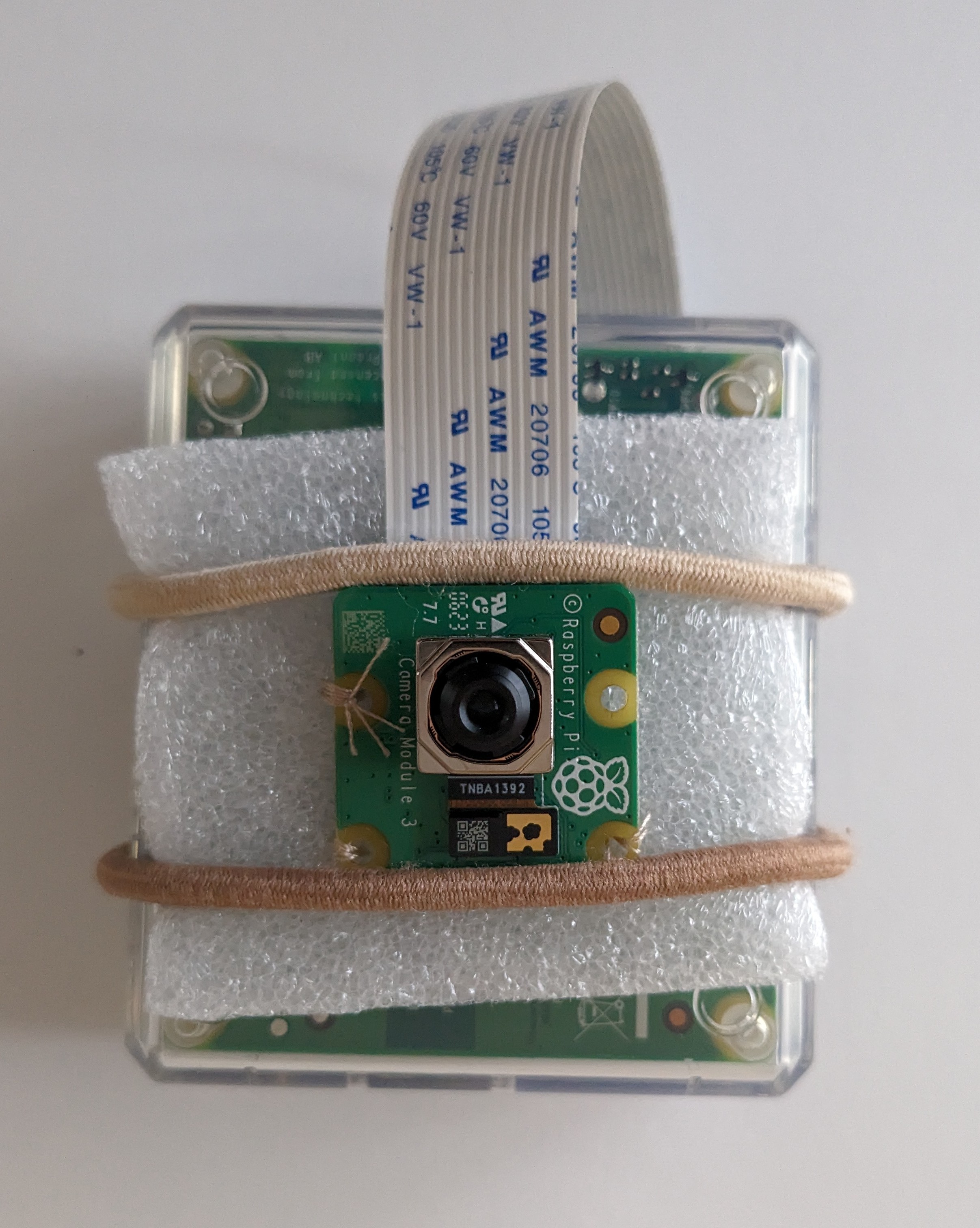Scout device